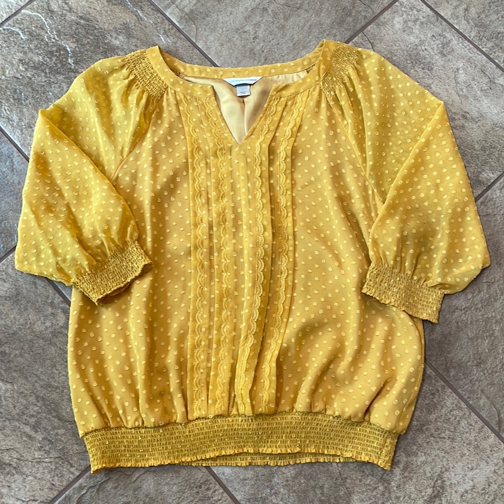 + nwot + CHRISTOPHER & BANKS Tunic Blouse